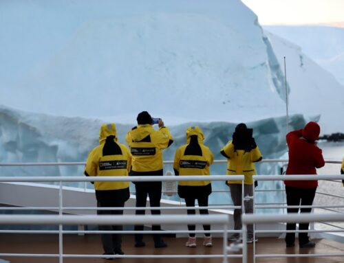 Antarctica’s Elite Whale Tales