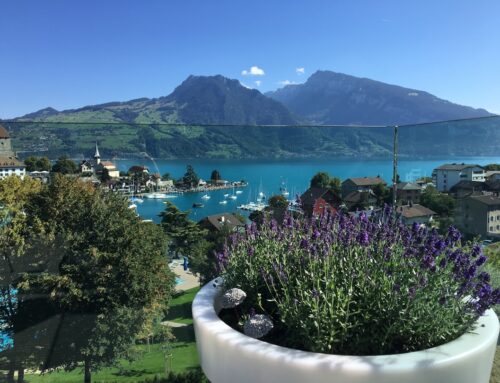 Exclusive Wellness Retreats in Switzerland