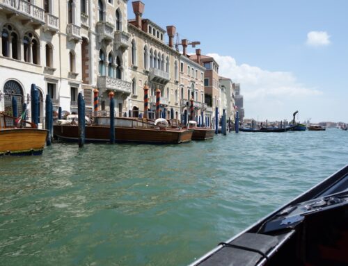 Venice Film Festival: Elite Viewing Spots