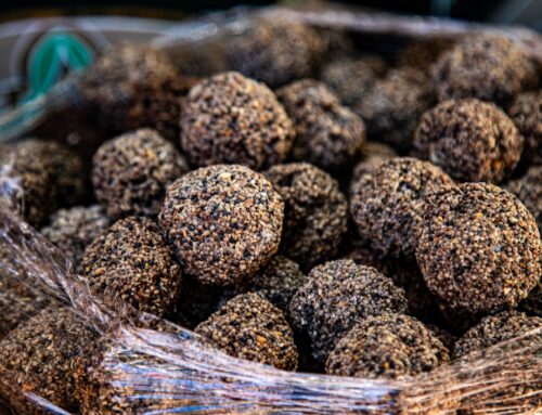 Exclusive Truffle Hunting in Italy: A Gourmet Odyssey